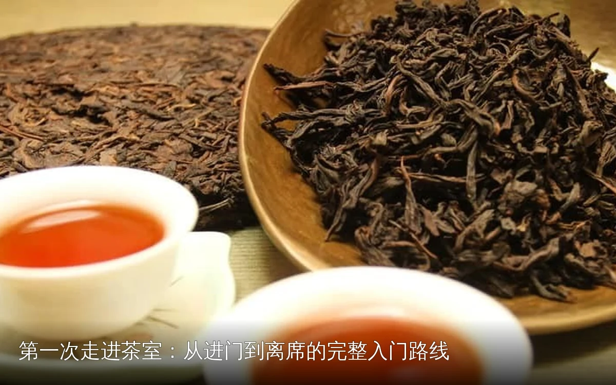 第一次走进茶室:从进门到离席的完整入门路线